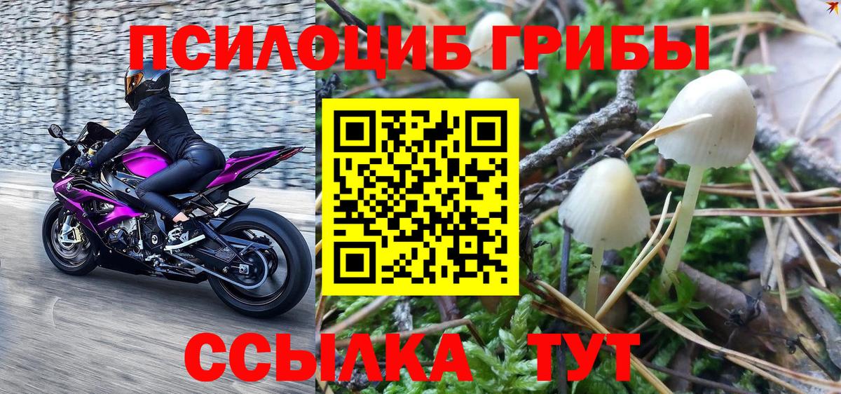 Псилоцибиновые грибы ЛСД  Вход с VPN  Майский  Псилоцибиновые грибы GOLDEN TEACHER 