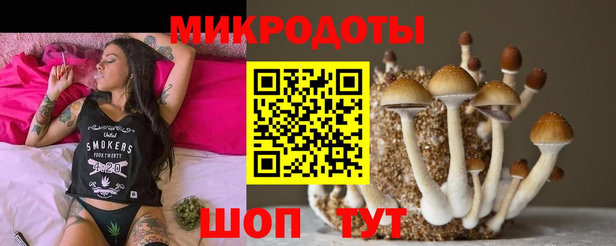 Псилоцибиновые грибы Magic Shrooms Майский